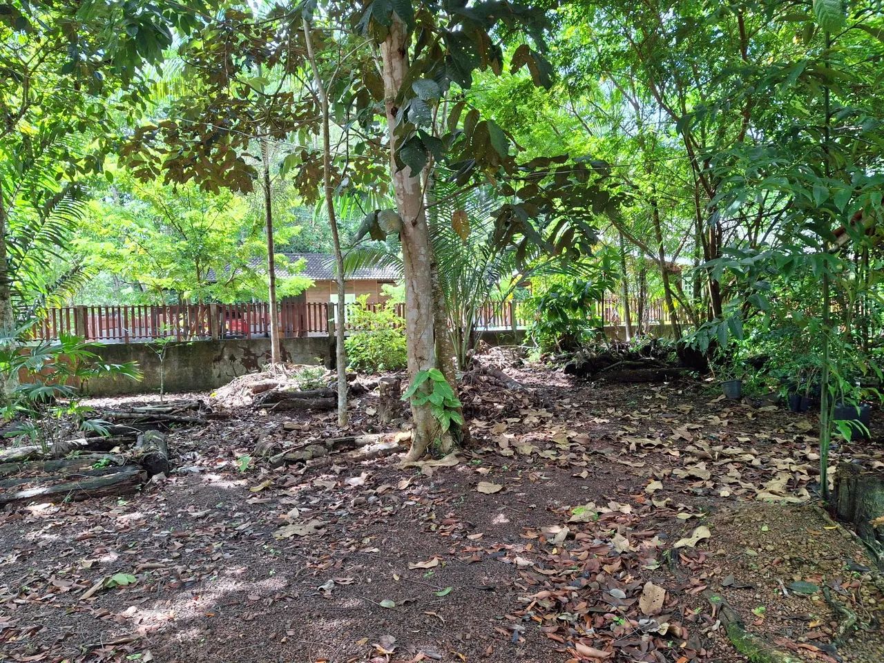 VENDO LOTE COND RURAL AMAZONFLORA- BENEVIDES/PA - Foto 9