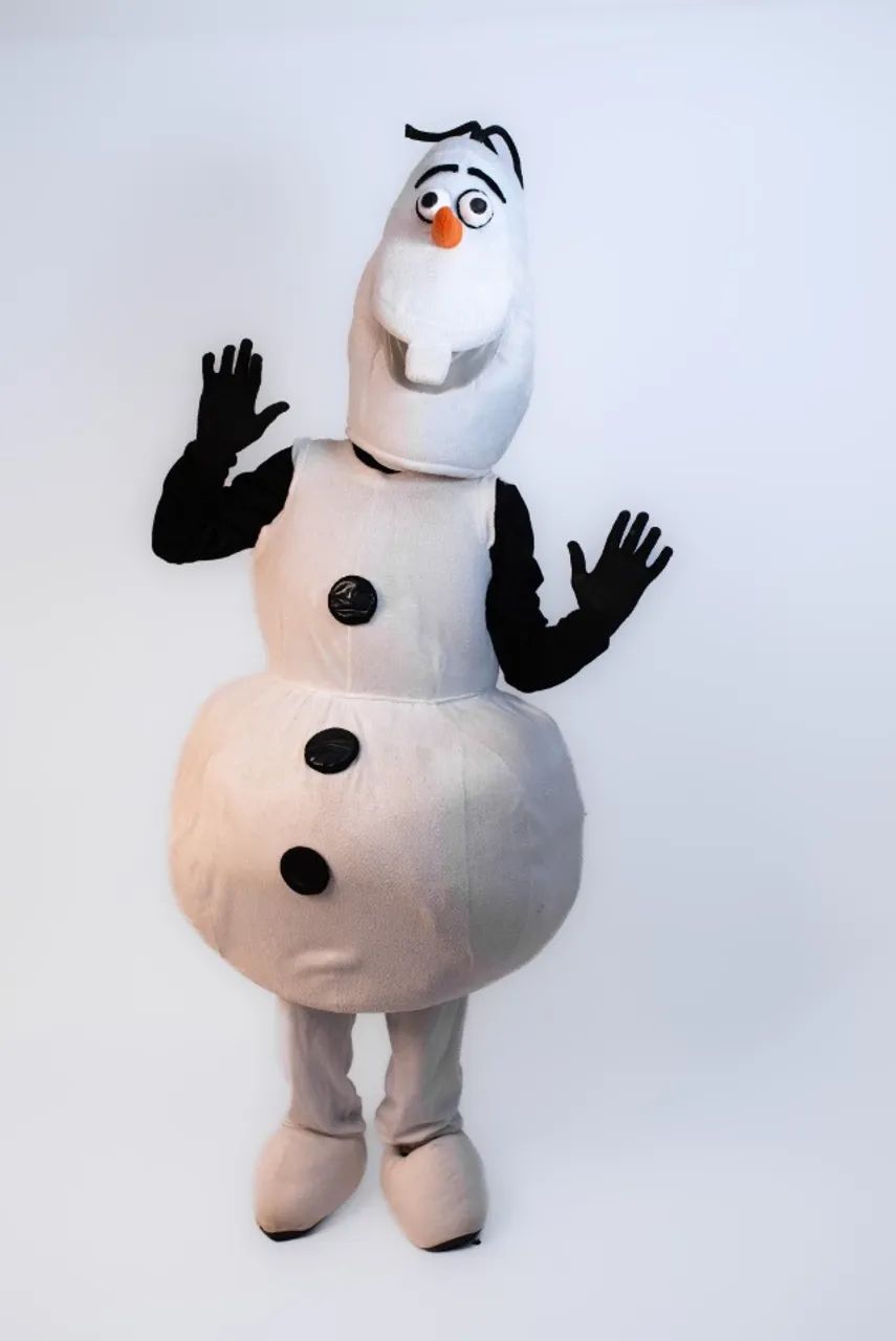 Fantasias Frozen
