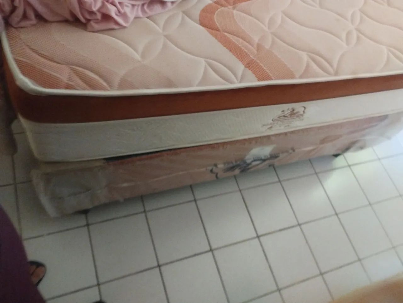 Cama