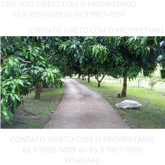 Chácara em Cuiabá-MT a Venda - Foto 4