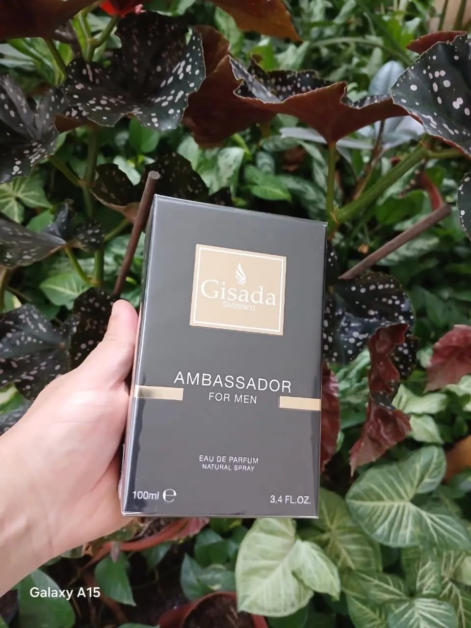 Gisada Ambassador For Men Edp 100ml 