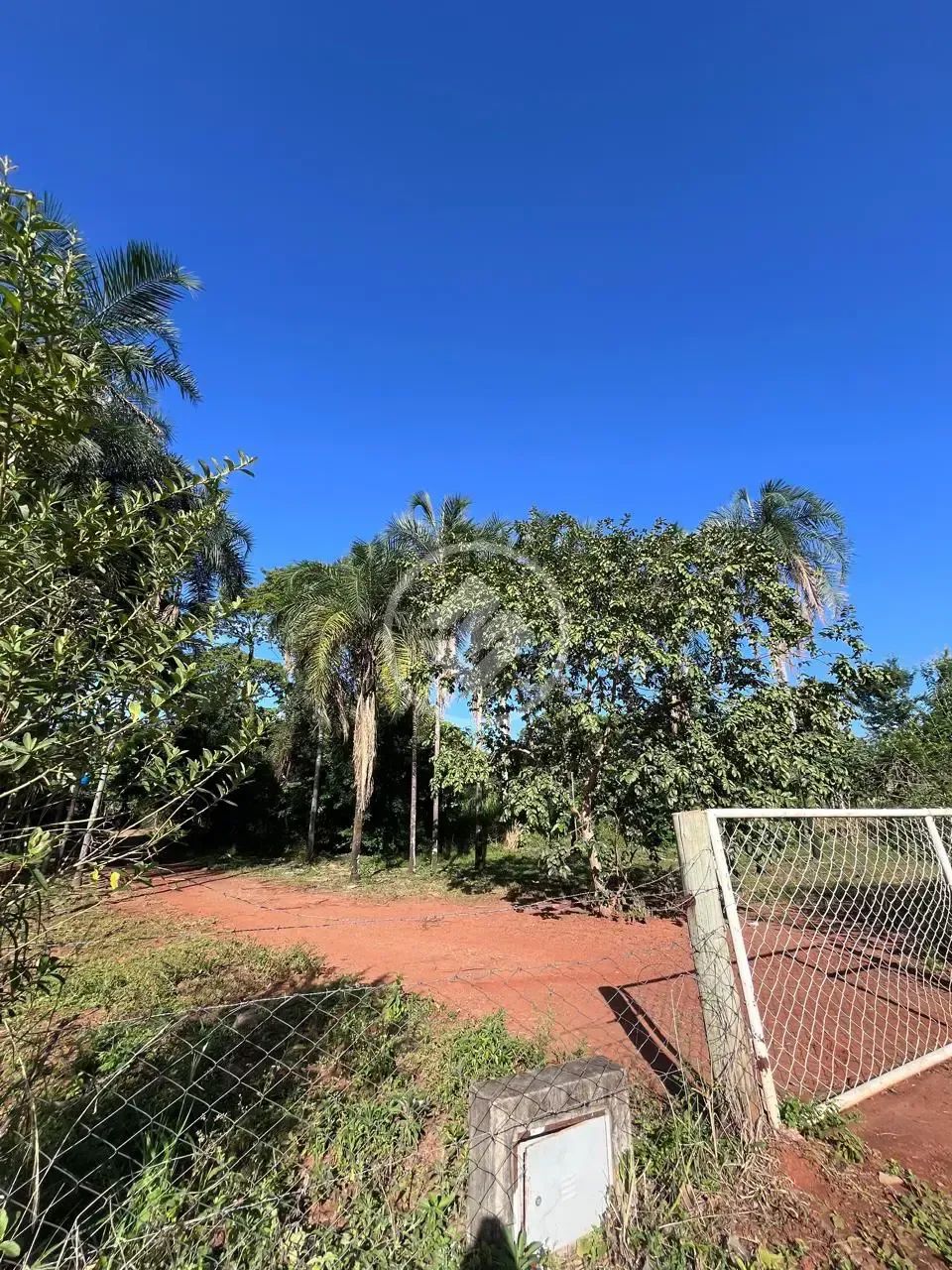 Área Imperdível em Goiânia!!! codigo: 324514 - Foto 2