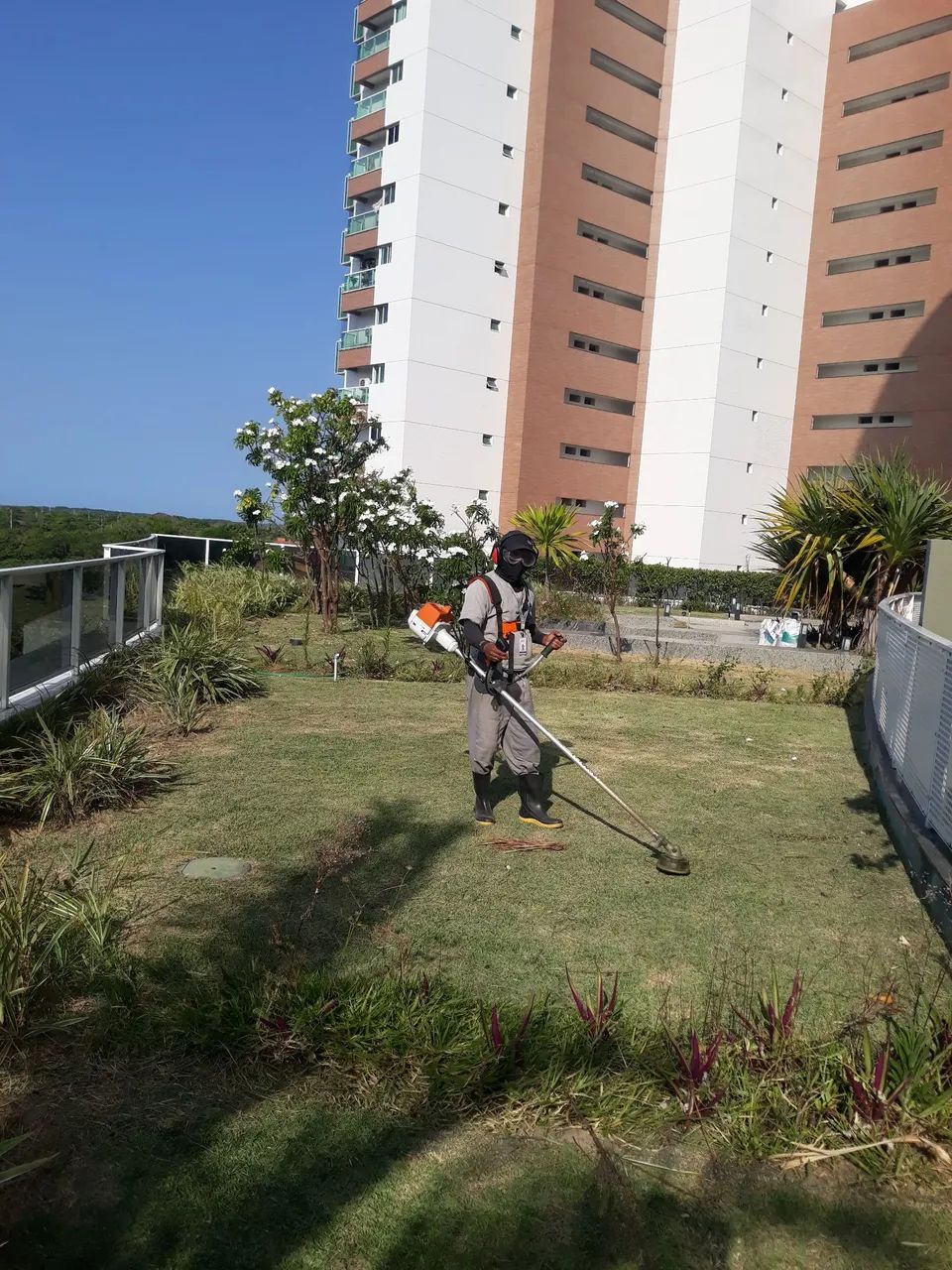 Serviços de jardinagem em geral em Fortaleza ce  - Foto 4