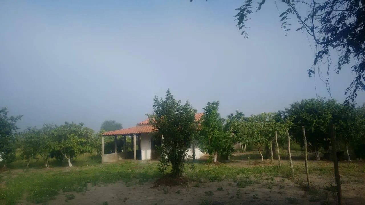 Sítio em São José  - Foto 3