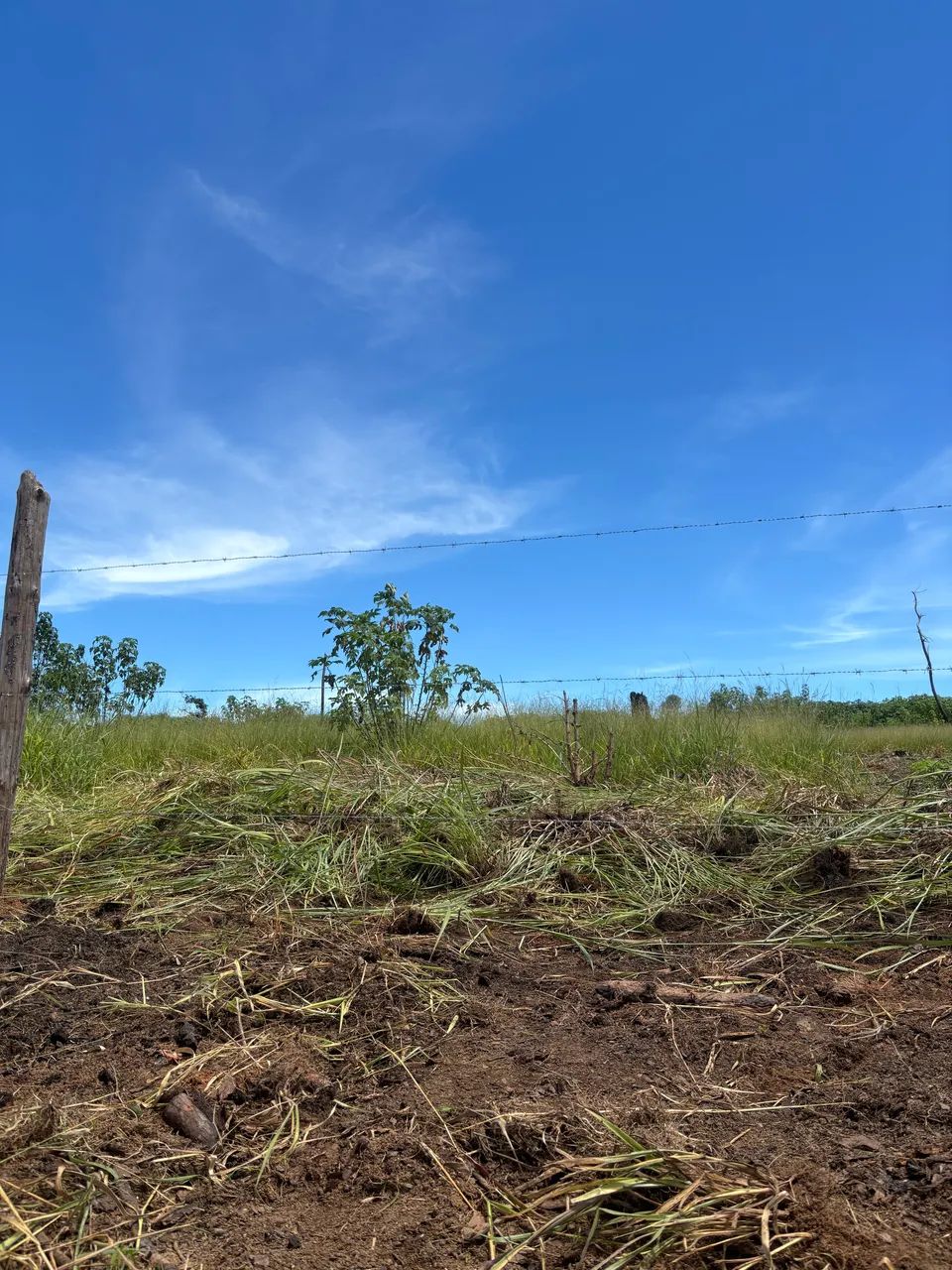 Foto - Brasília - Paranoá Parque (Paranoá)
