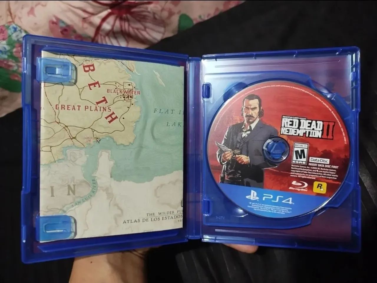 Red Dead Redemption 2  - Foto 3