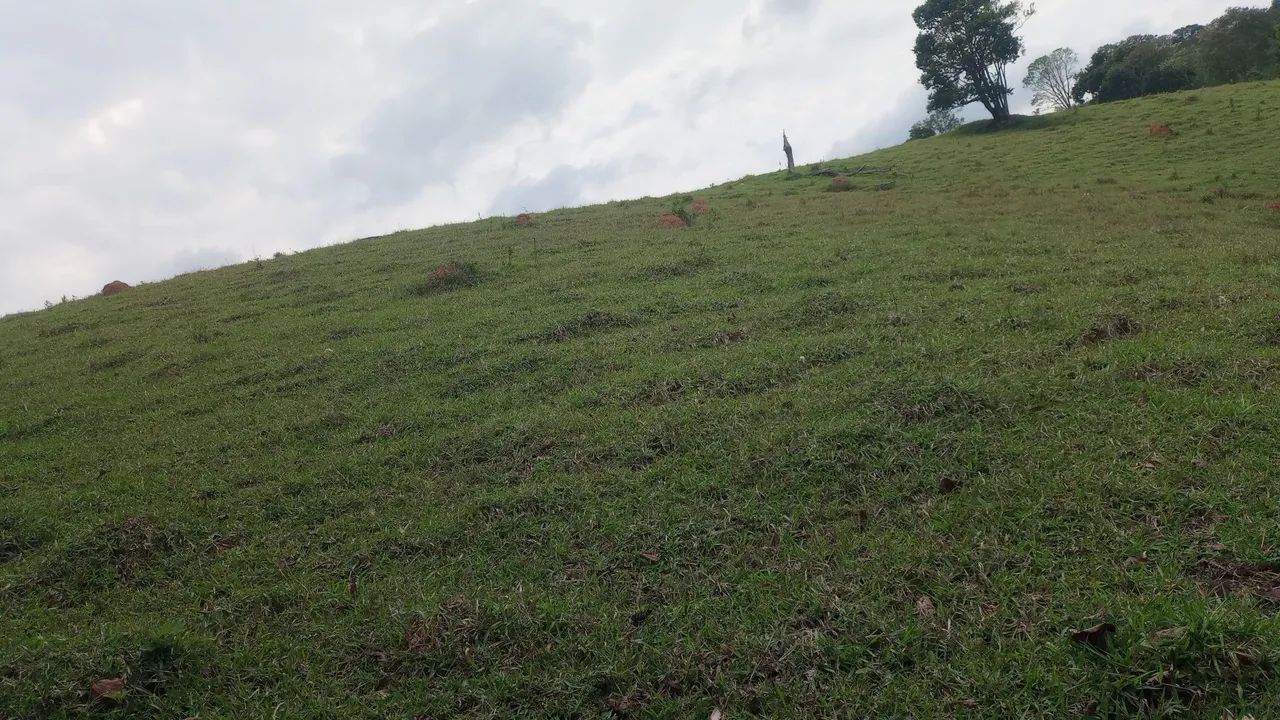 Terreno grande e barato com mina de água 