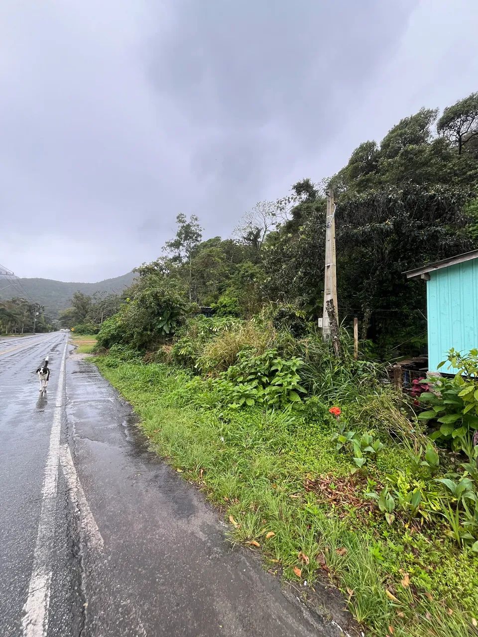 Vendo terreno na Reta do  Pantano do Sul  - Foto 3