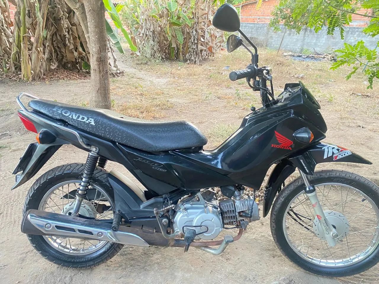 Pop 110 2019
