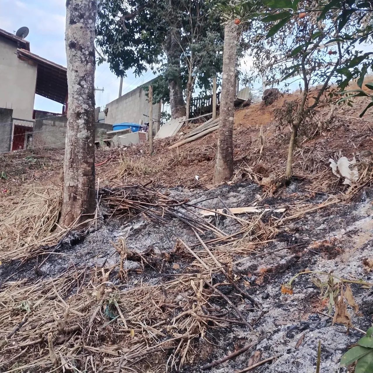 Terreno em Ipiabas - Foto 5