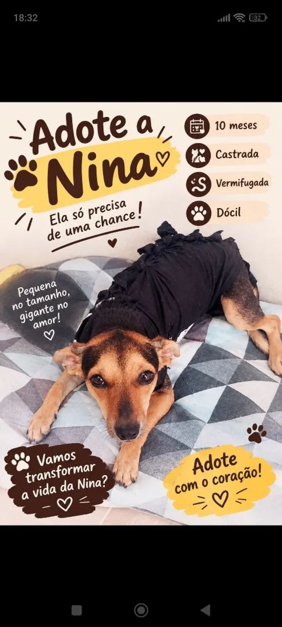 Cachorrinha 