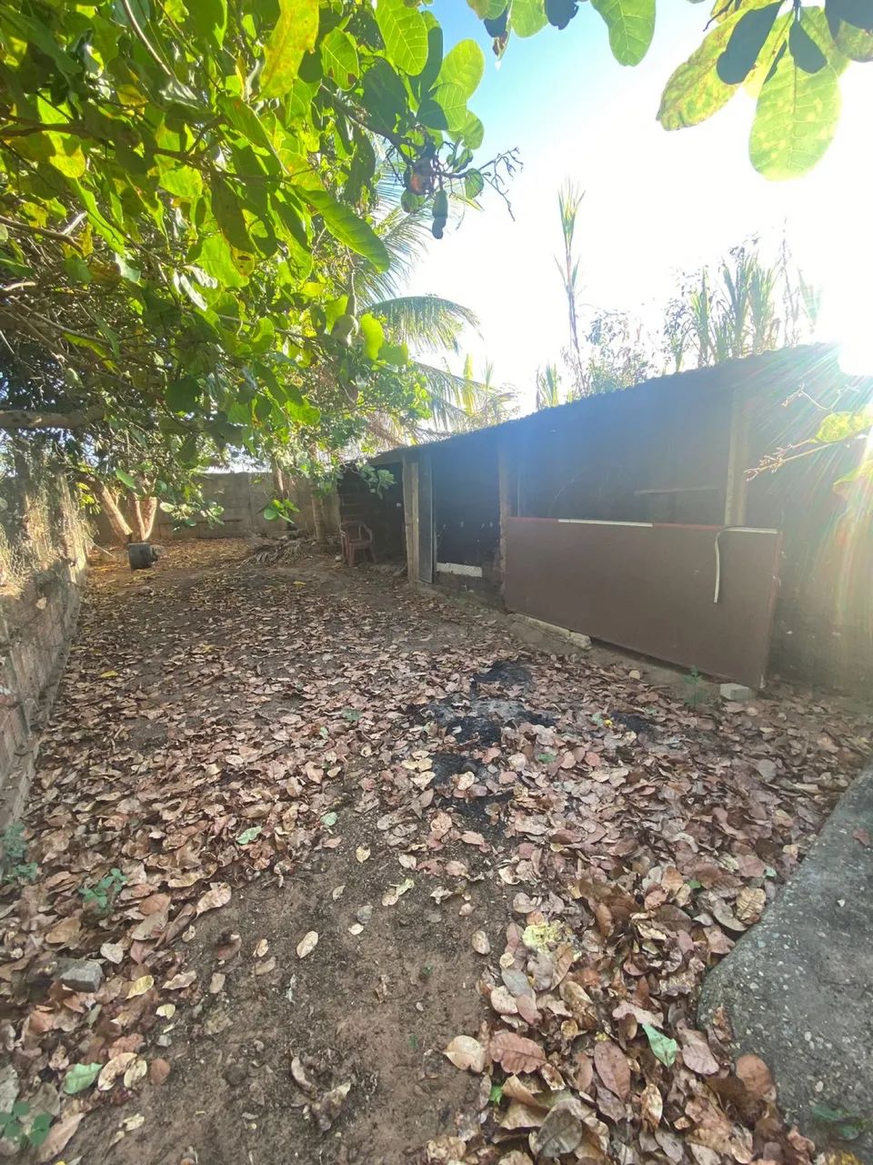 Granja com Casa, Piscina e Estrutura Completa em São José do Mipibu - valor negociável  - Foto 9