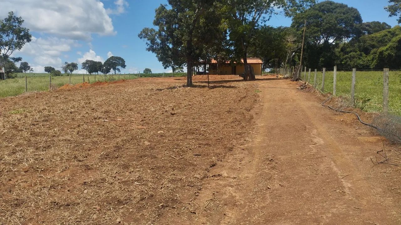 Foto - Caldazinha - 