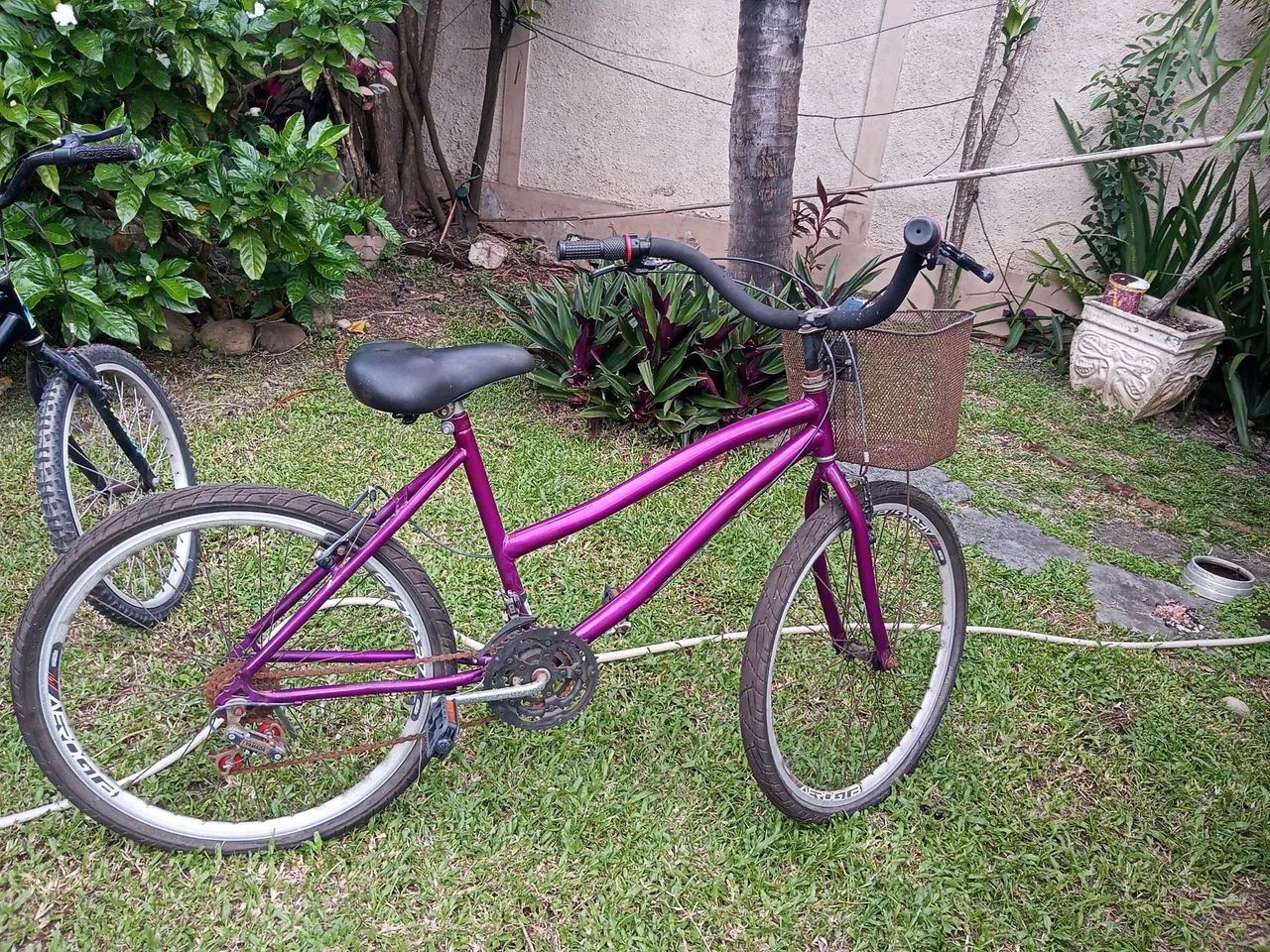 bicicleta feminina