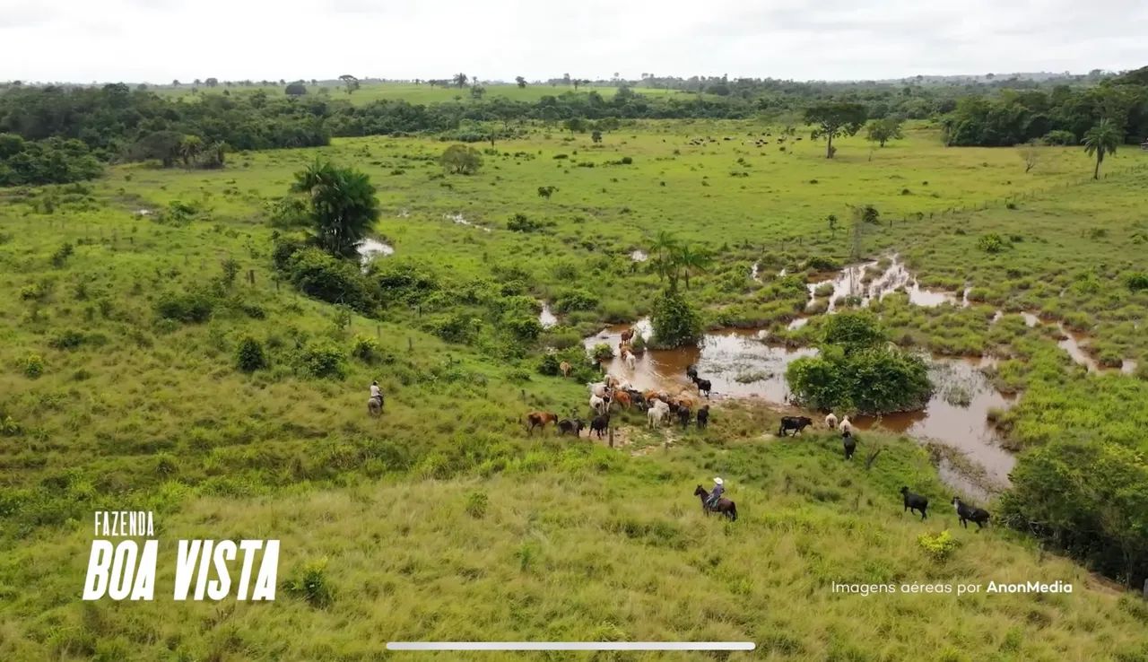 FAZENDA À VENDA - 44 ALQUEIRES - NOVA IPIXUNA - Foto 4