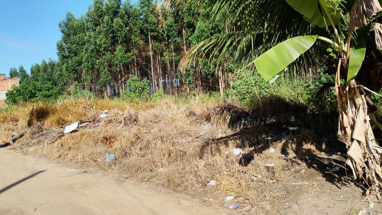 Terreno São Matheus  - Foto 3