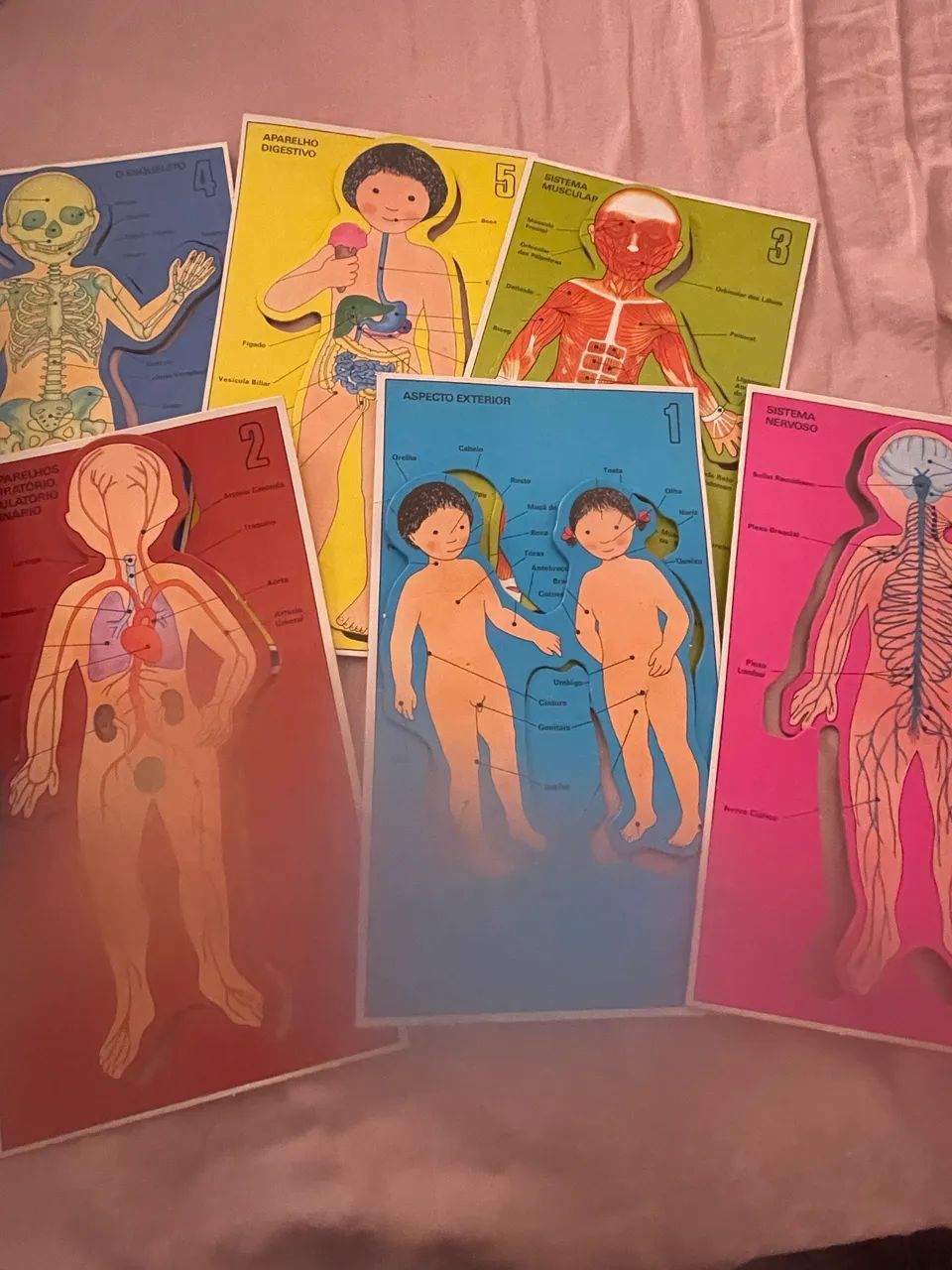  Como é o meu corpo? jogo educativo dos anos 80  - Foto 5
