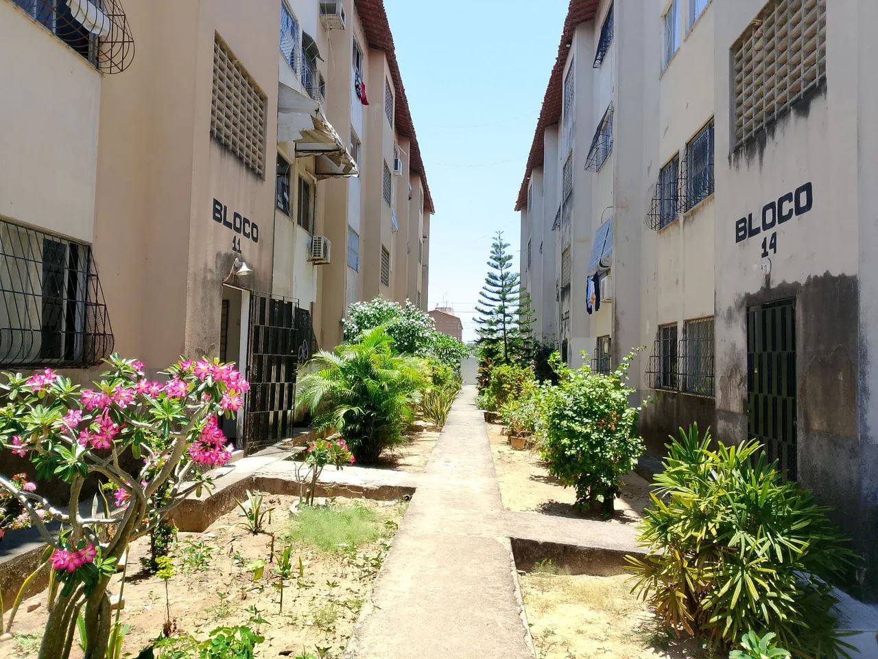 Vendo apartamento na Vila Pery  - Foto 5
