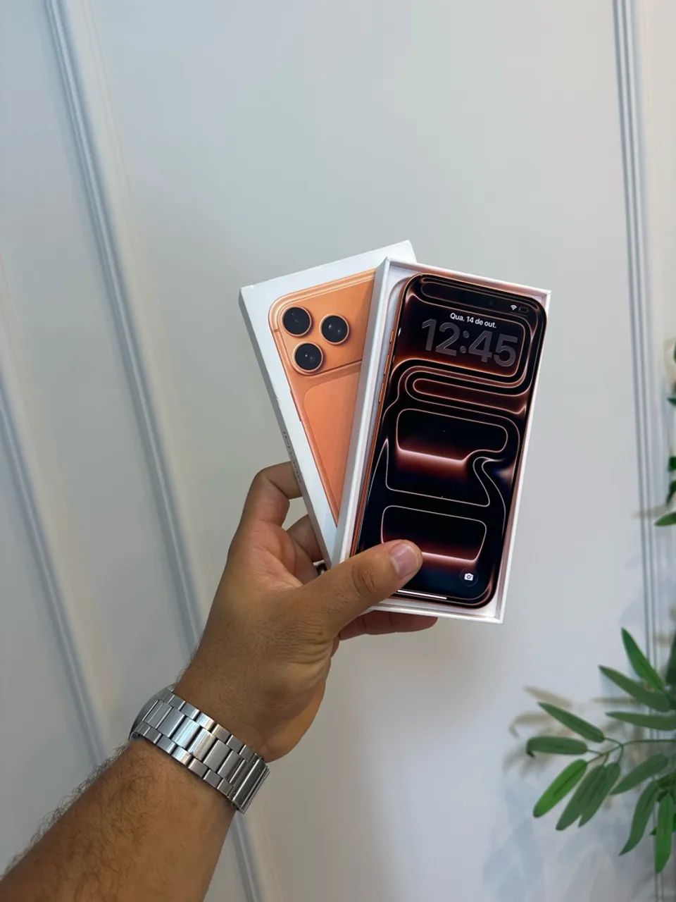 iPhone 17 pro max com caixa