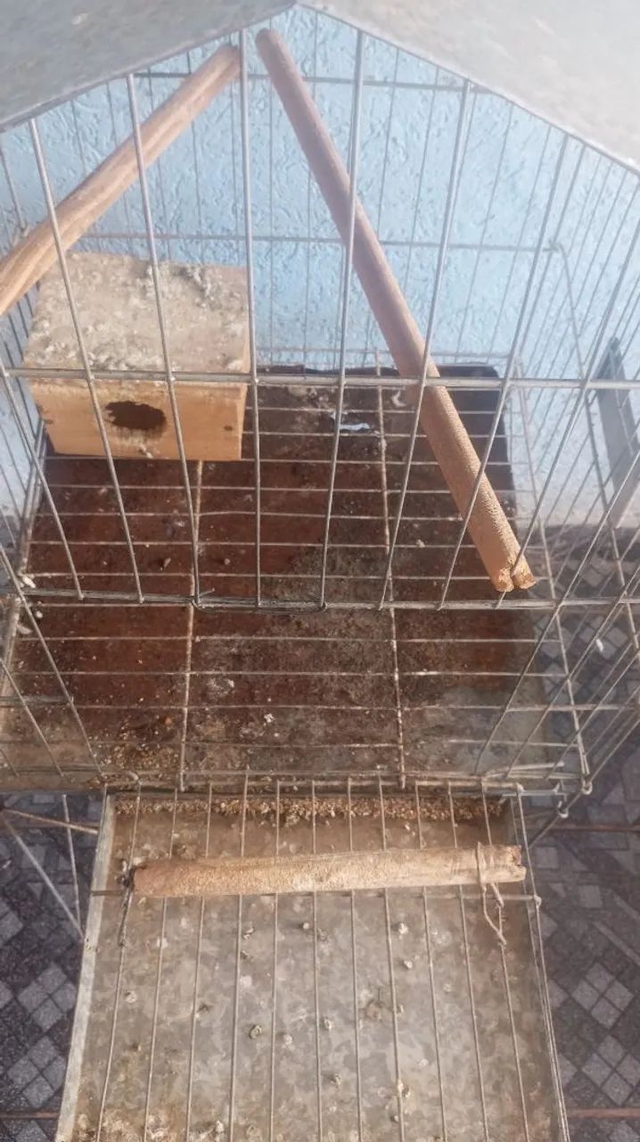 Gaiola grande  - Foto 3