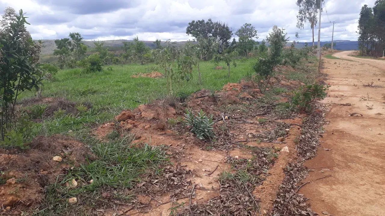 FAZENDINHAS perto do asfato em Paraopeba - Foto 3
