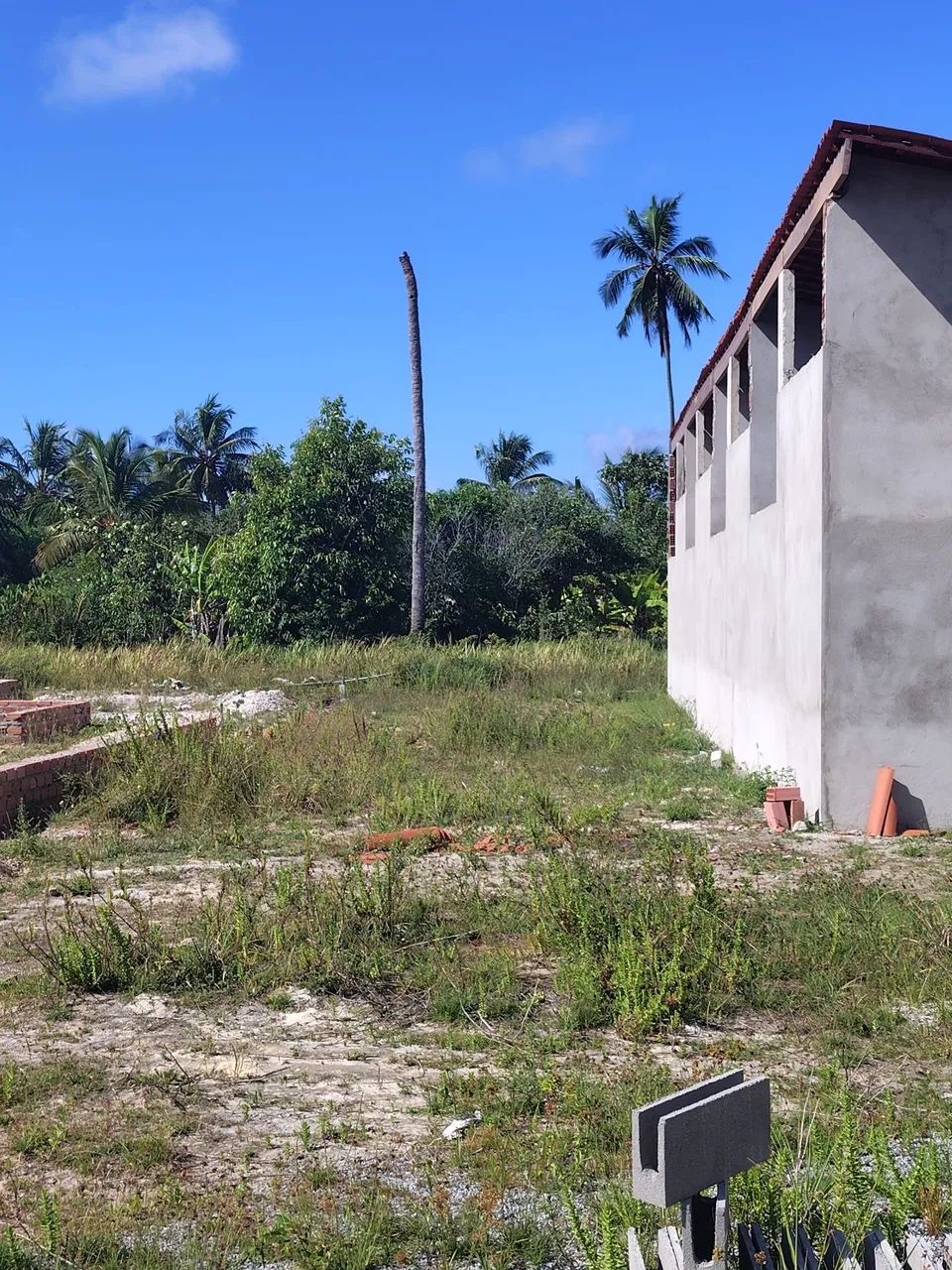 Foto - Maceió - Serraria