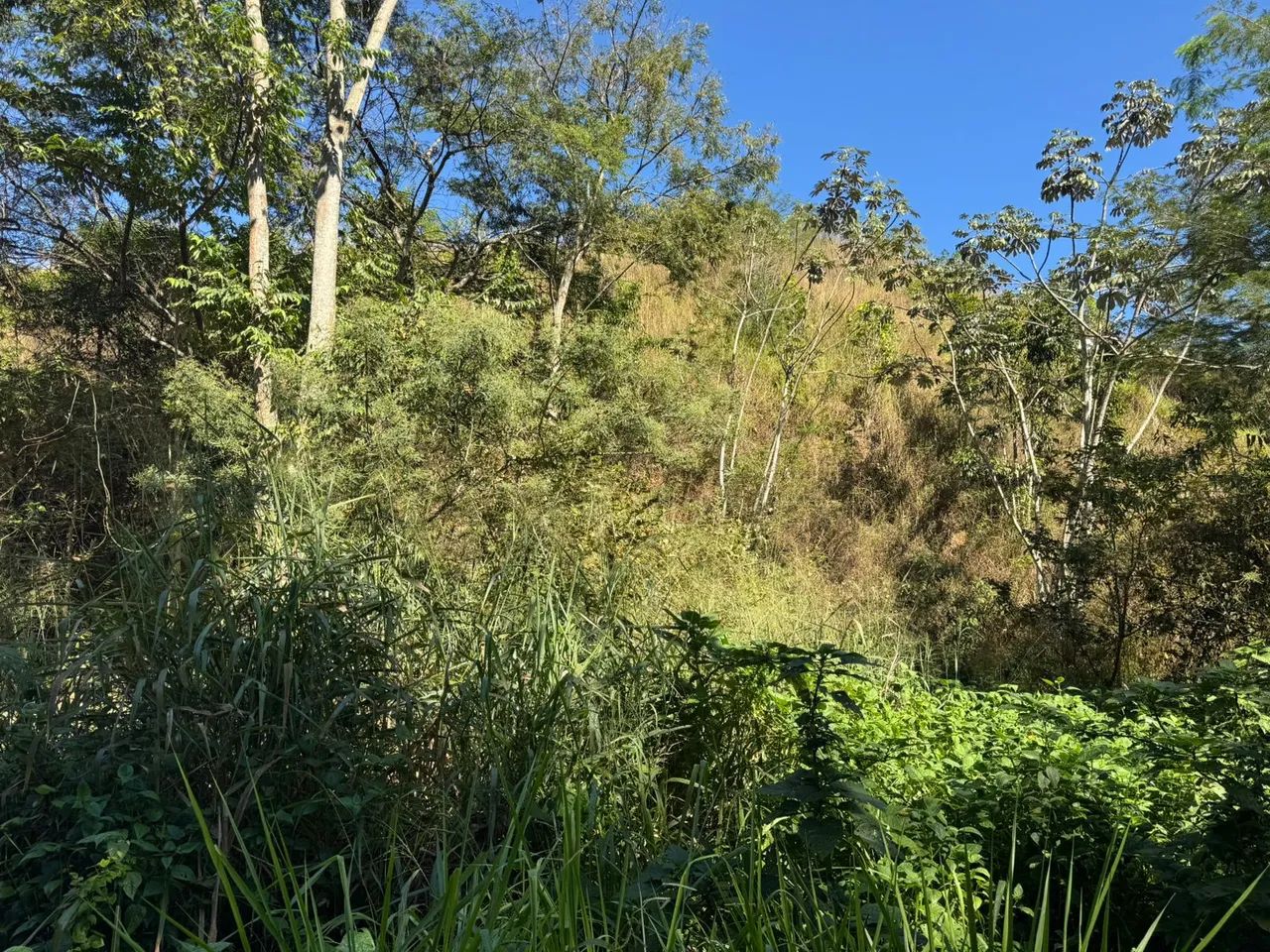 LOTE - SUPER PREÇO  - Foto 3