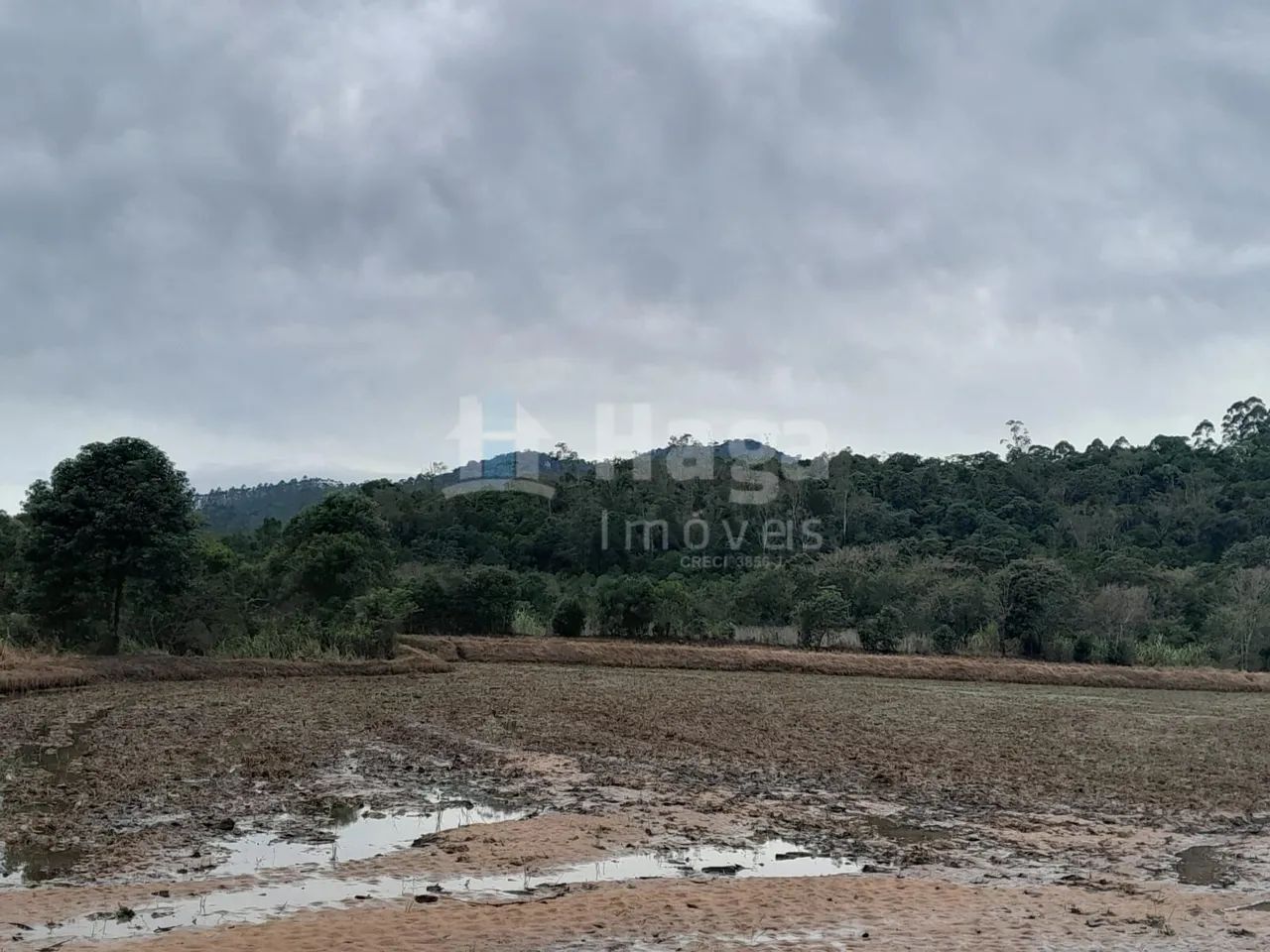 Sítio à venda em Turvo/SC - Foto 2