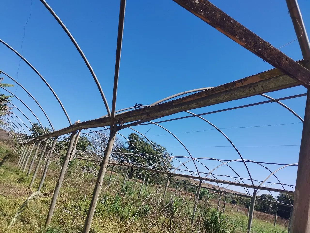Estufas articuladas - Foto 2