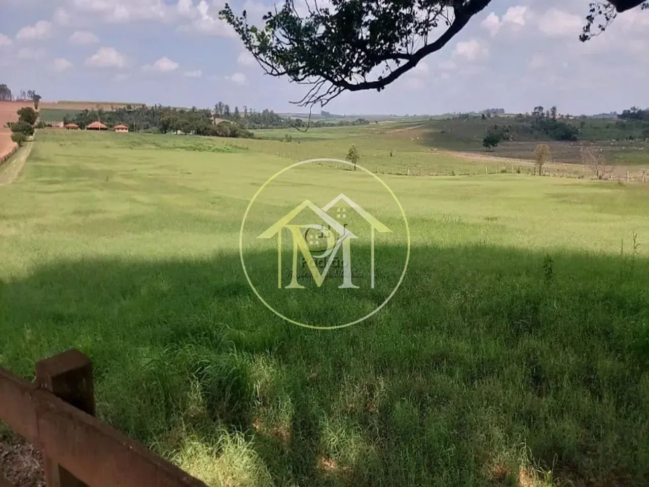 Haras Rural à venda, , - HA0081. - Foto 4