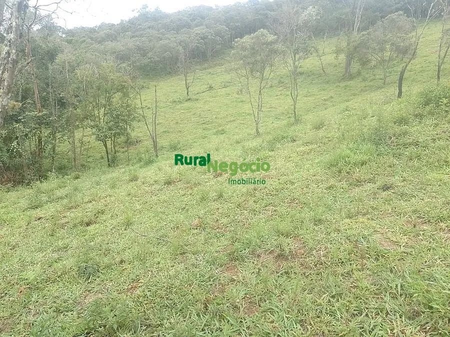 SÍTIO FORMADO COM CASA NOVA À VENDA EM LIBERDADE/MG - Foto 5