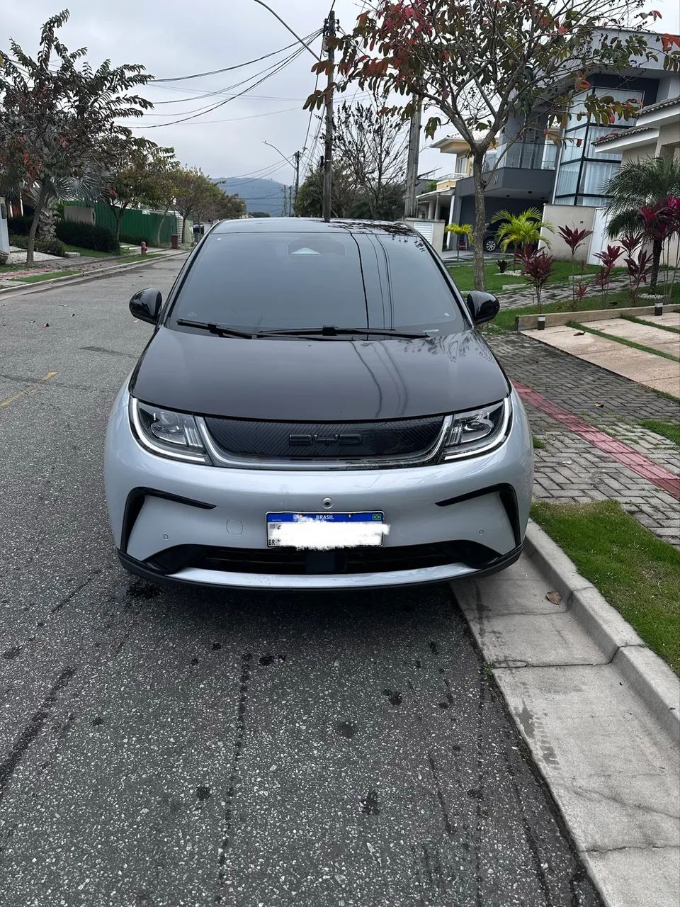 BYD Dolphin Plus (Elétrico) 2024 - Foto 2