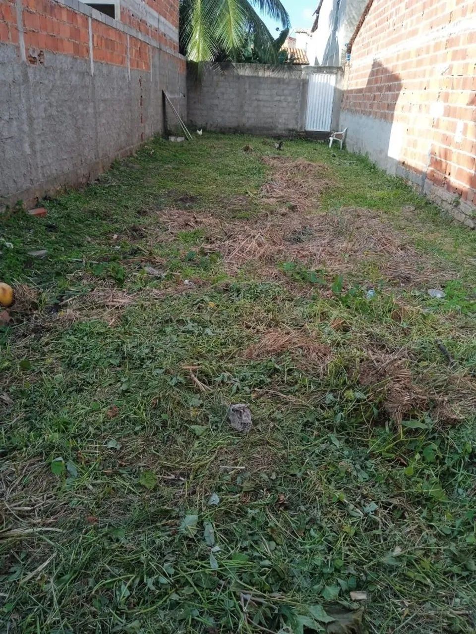 TERRENO NA CAUEIRA