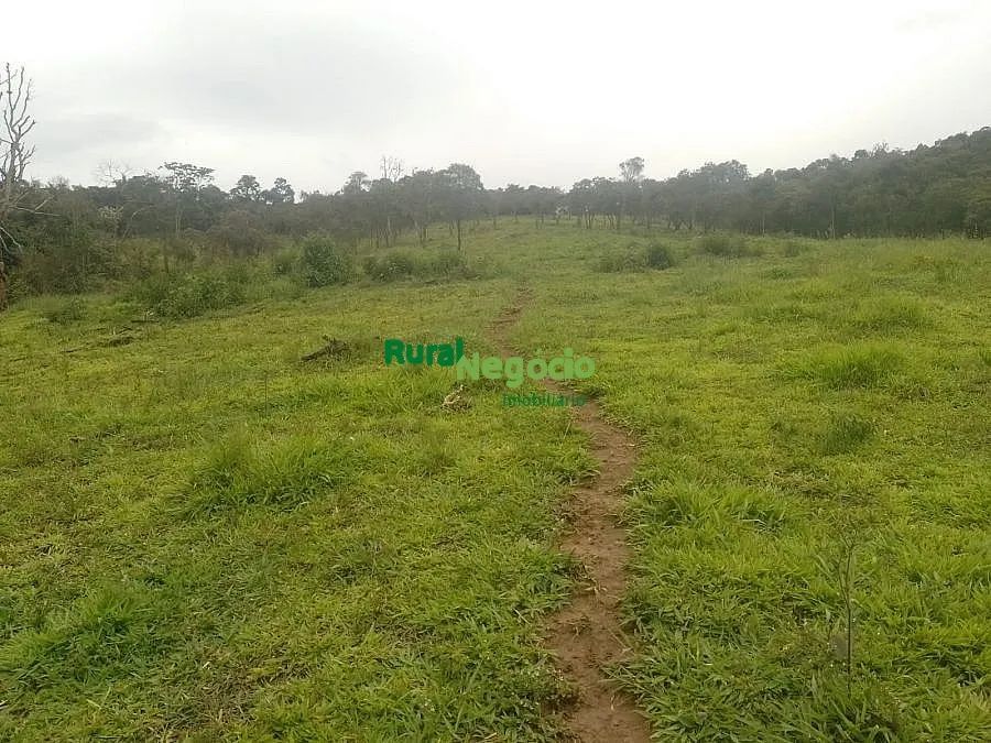 SÍTIO FORMADO COM CASA NOVA À VENDA EM LIBERDADE/MG - Foto 3