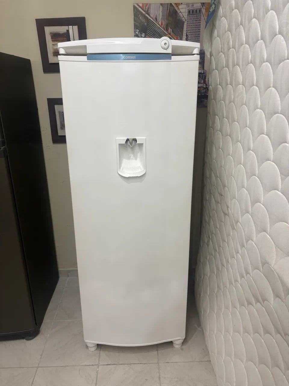 Geladeira consul , refrigerador 