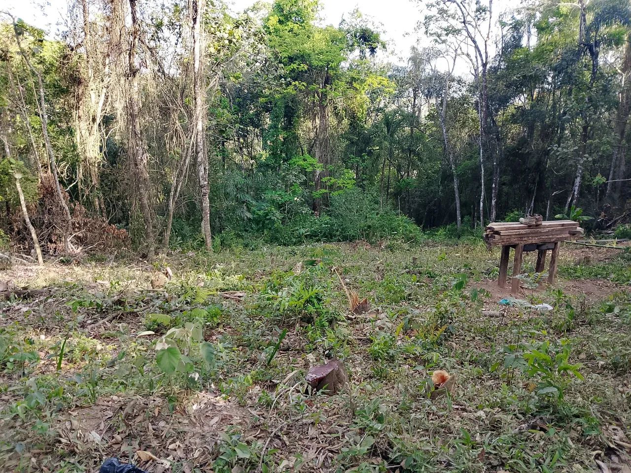 vendo ou troco  - Foto 2