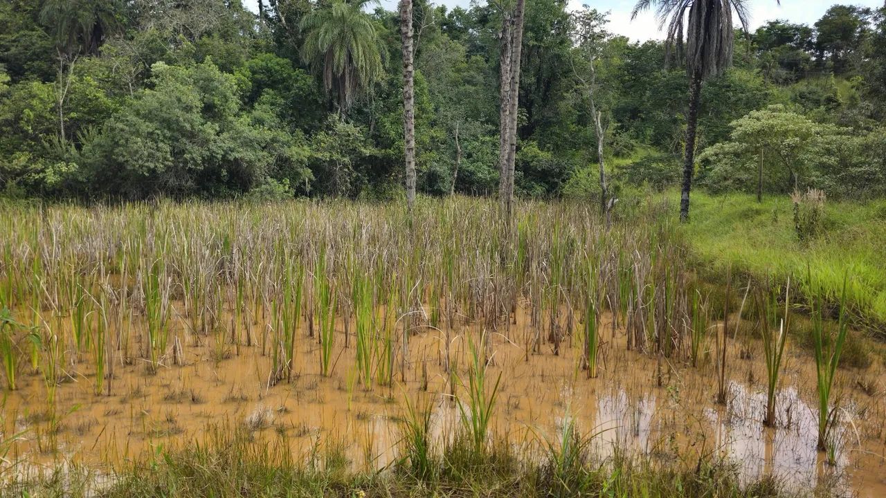 Terreno rural  - Foto 4