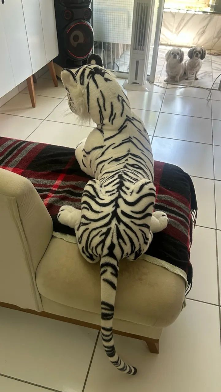 Tigre - Foto 4