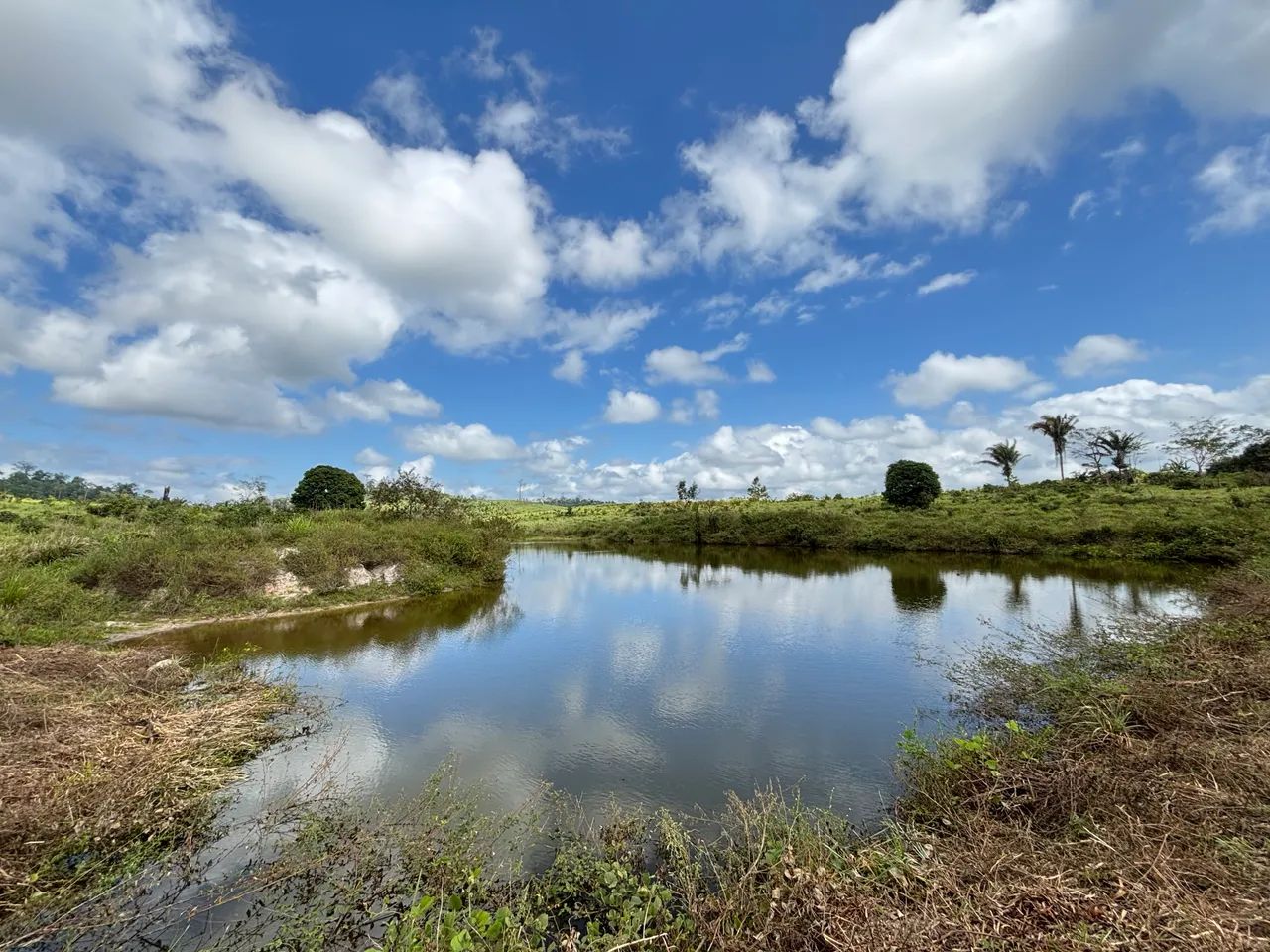 FAZENDA À VENDA - ANAPU/PA - Foto 5