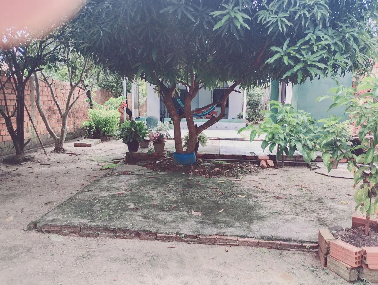LINDA LINDA. - Foto 2