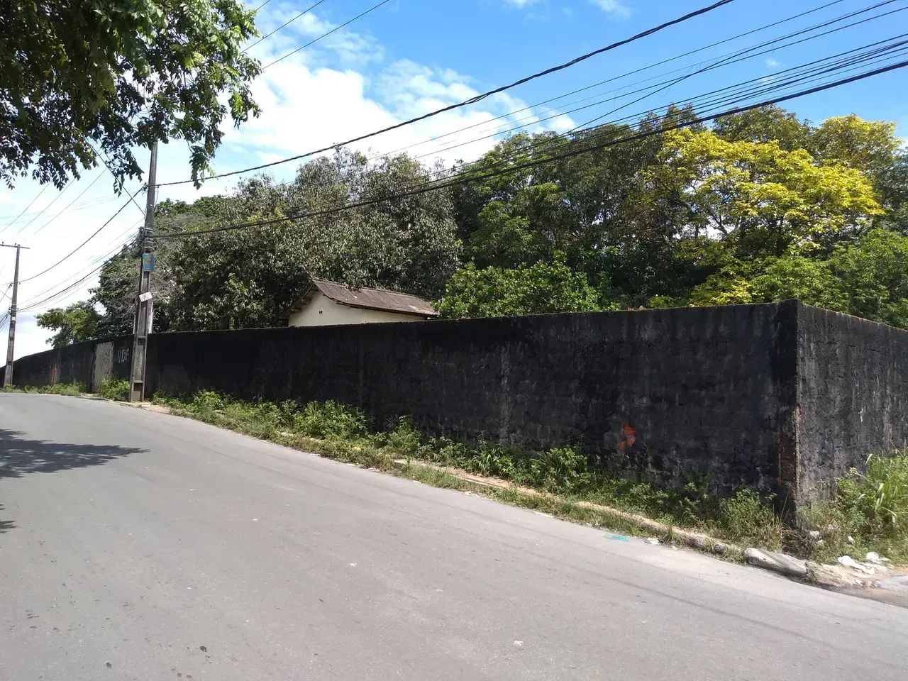 Terreno Na Colonia Santo Antonio - Foto 3