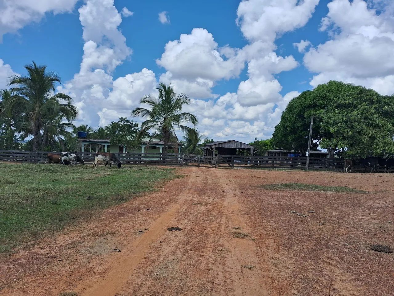 Fazenda com 321 Hectares  - Foto 2