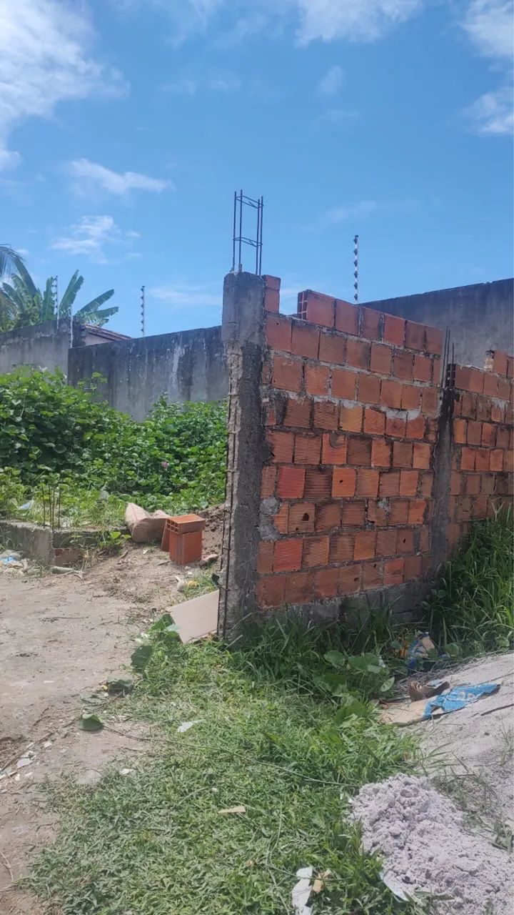 Terreno na ilha  - Foto 3