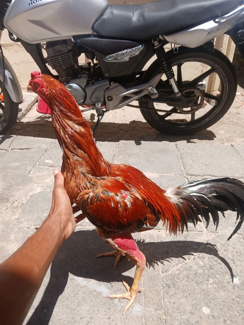Pra vender no preço  - Foto 2
