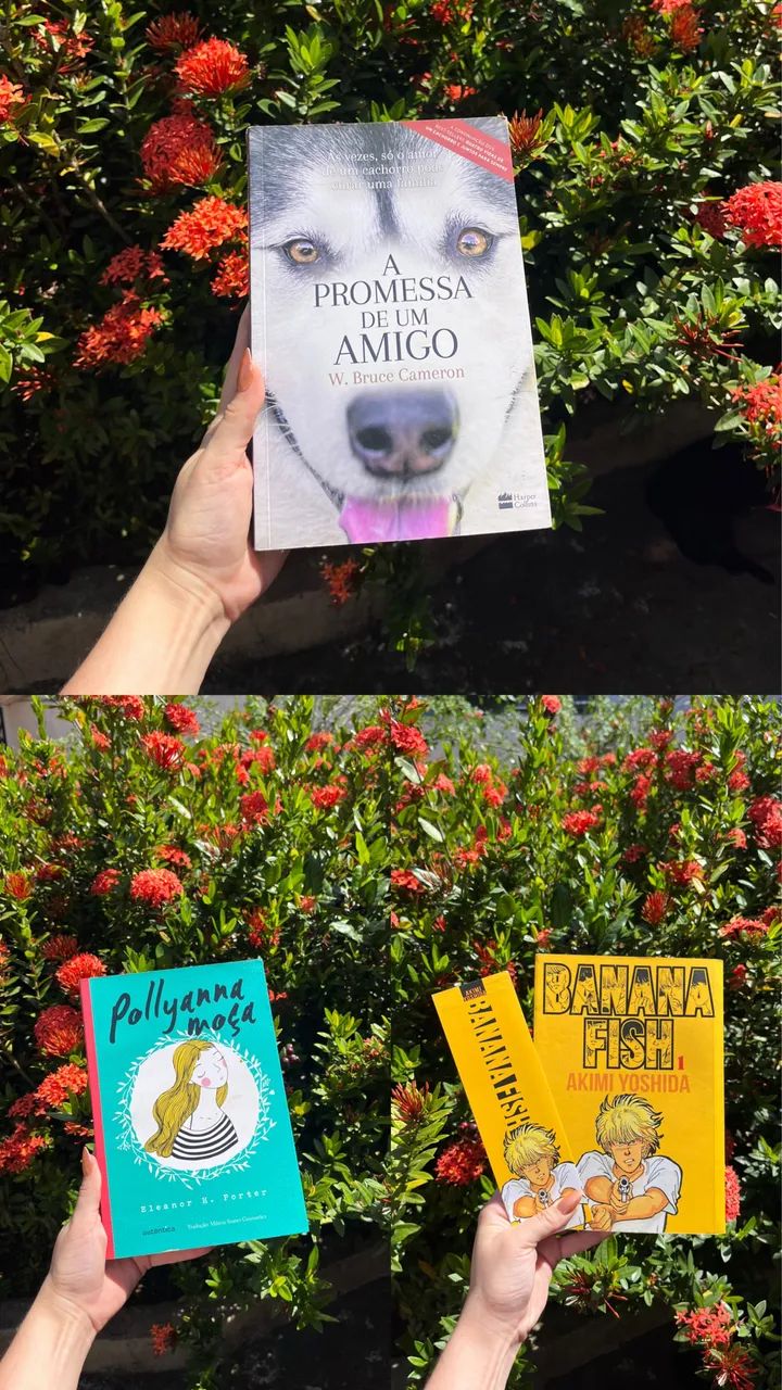 livros - Foto 5