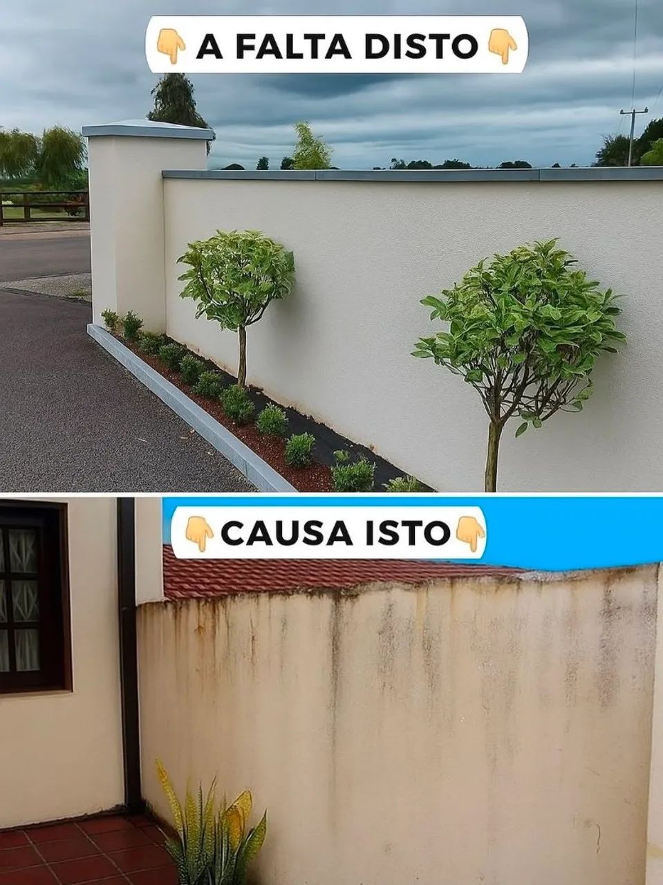 Pingadeira/ Capas de muro  - Foto 2