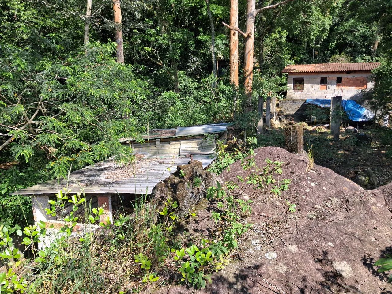 Sitio em Petrópolis - Foto 3