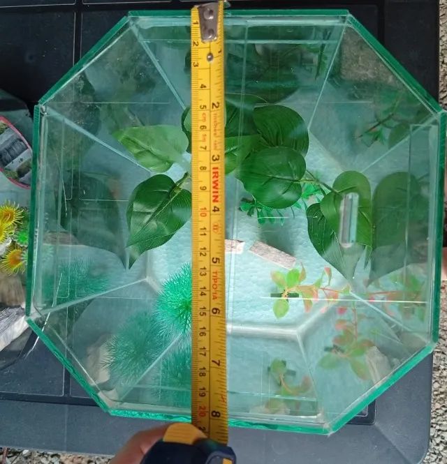 Áquario - Foto 3