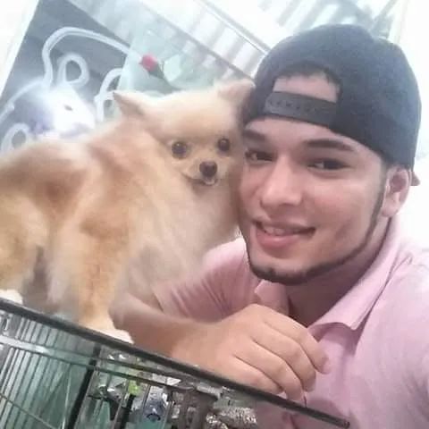 Banho e tosa em domicílio 