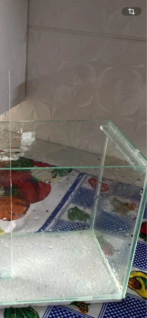 AQUÁRIO RETANGULAR, 5 LITROS - Foto 2